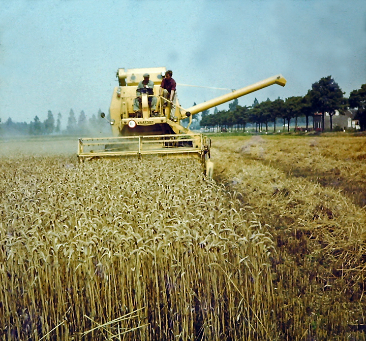 foto